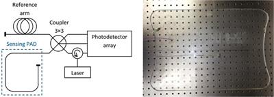 Measuring respiratory and heart rate using a fiber optic interferometer: A pilot study in a neonate model